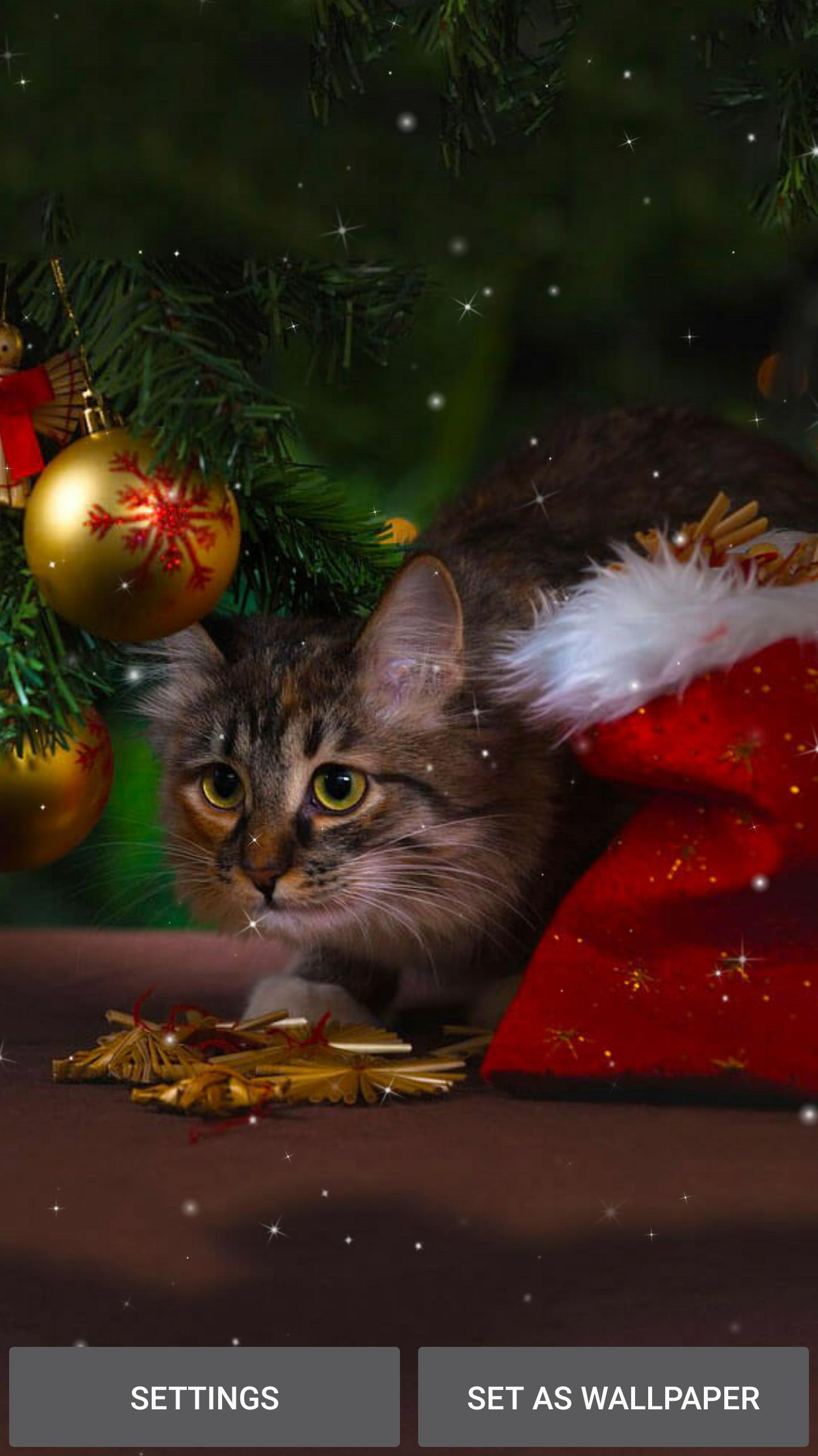 Weihnachten Katze Hintergrund Fur Android Apk Herunterladen