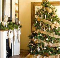 Christmas Tree Ornament Design poster