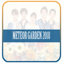 Lagu Meteor Garden 2018 Mp3 APK