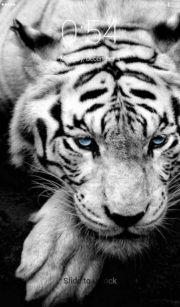 White Tigers Lock Screen Wallpaper For Android Apk White Tigers Lock Screen Wallpaper For