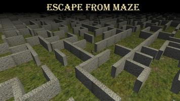 Survival in Maze poster