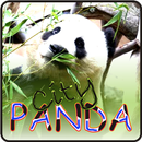 City Panda APK
