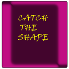 Catch Shape-icoon