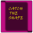 Catch Shape icon