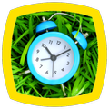 Clock Sounds
