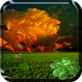 Clover Live Wallpaper