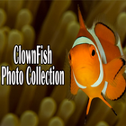 Clown Fish Collection icône