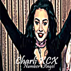 Charli XCX - Number 1 Angel icône