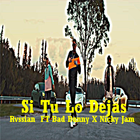 Si Tu Lo Dejas - Rvssian  FT Bad Bunny X Nicky Jam أيقونة