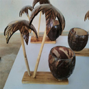 Coconut Crafts Handicrafts APK