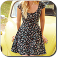 Coast Dresses