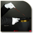 Icona Coin & Card Magic Tricks