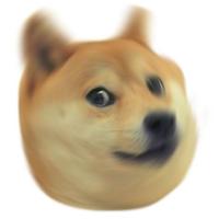 Poster Doge Spin