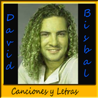 David Bisbal icône