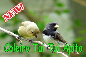 Coleiro Tui Tui Apito Complete Mp3 スクリーンショット 1