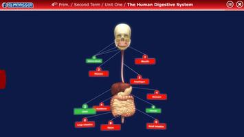 El-Moasser Digestive System 3D تصوير الشاشة 1
