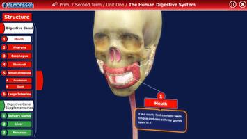 El-Moasser Digestive System 3D اسکرین شاٹ 2