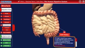 El-Moasser Digestive System 3D syot layar 3