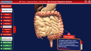 El-Moasser Digestive System 3D capture d'écran 3