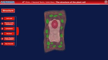 El-Moasser Plant Cell 3D الملصق