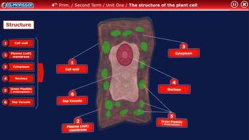 El-Moasser Plant Cell 3D capture d'écran 1