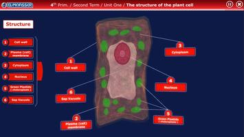 El-Moasser Plant Cell 3D screenshot 1