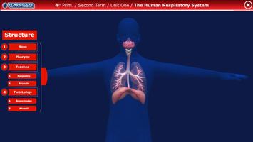 El-Moasser Respiratory System  Affiche