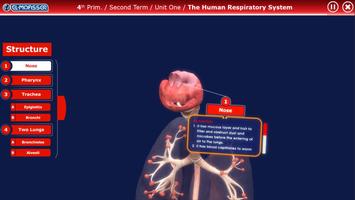 El-Moasser Respiratory System  スクリーンショット 2