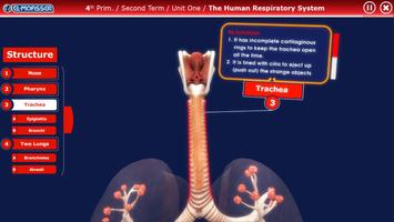 El-Moasser Respiratory System  capture d'écran 3