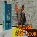 Crazy Mouse 3d APK