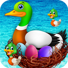 Duck Breeding Farm icon