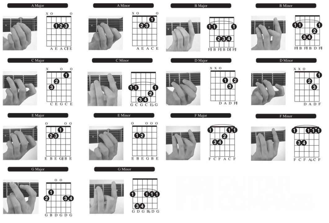 Аккорды для начинающих с пальцами