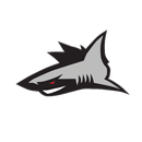 94.3 The Shark aplikacja