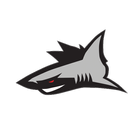 94.3 The Shark আইকন