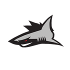94.3 The Shark icon
