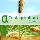 Confagricoltura Cuneo иконка