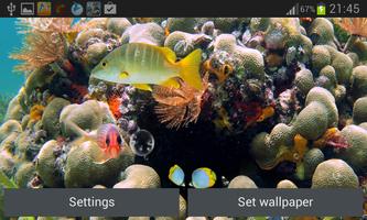 Coral Reef Live Wallpaper capture d'écran 3