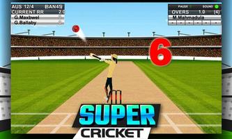 Super Cricket Championship Cartaz