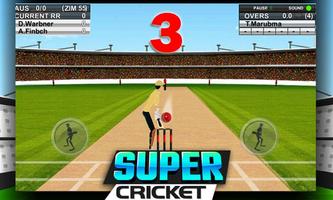 Super Cricket Championship imagem de tela 1