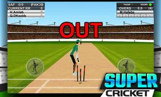 Super Cricket Championship imagem de tela 3
