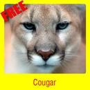 Cougar APK