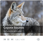 Coyote Sounds آئیکن