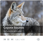 Coyote Sounds أيقونة