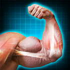 Bodybuilder Arms - Photo Filte icon