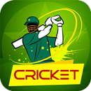 Cricket Rivals 3D APK