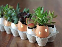 Crafts From Egg Shells 스크린샷 1