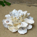 Crafts From Shells APK