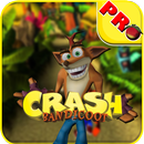 Crash Bandicoot The Huge Adventure APK
