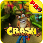 Crash Bandicoot The Huge Adventure icône