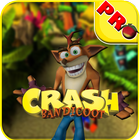 Crash Bandicoot The Huge Adventure ícone